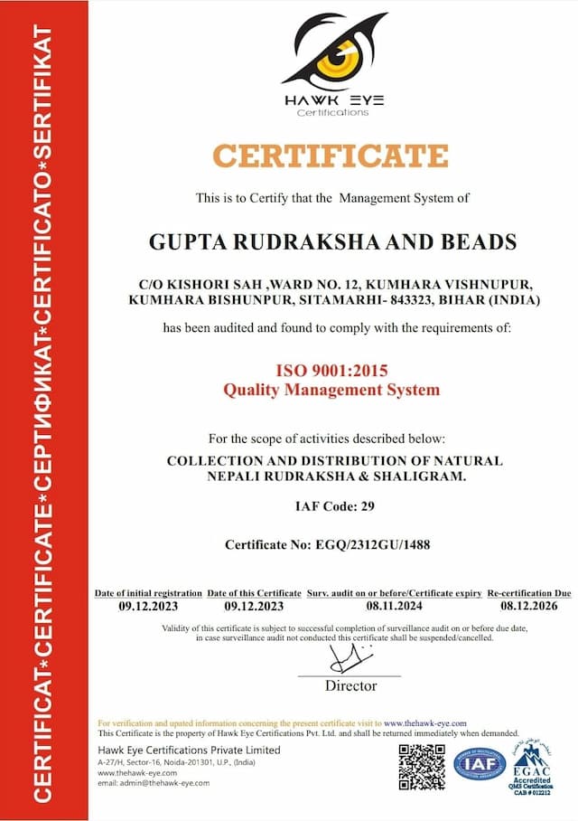 Gupta Rudraksha
